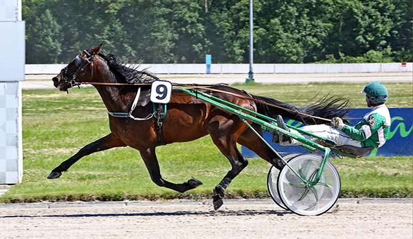 Ohne Konkurrenz: Exclusive Fire (Victor Gentz) - © traberfoto-sx