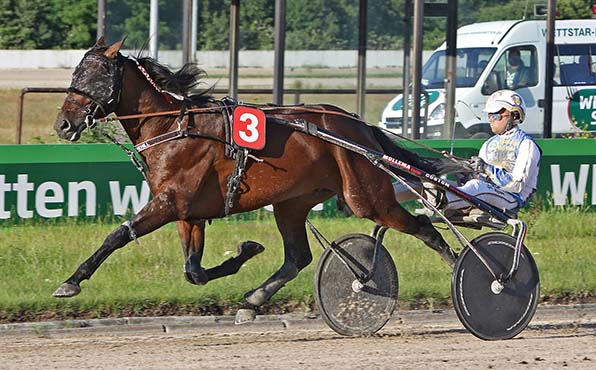 Keytothehill (Jaap van Rijn) feierte seine beiden ersten Karriere-Erfolge im Juni des letzten Jahres in Gelsenkirchen - © traberfoto-sx
