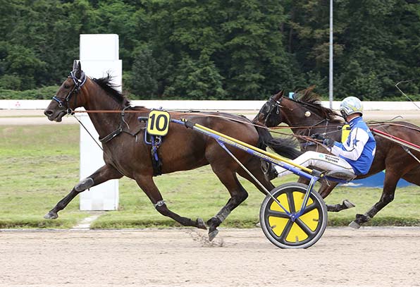 King of Greenwood (Jaap van Rijn) ist am Ende zu stark für James Moko - © traberfoto-sx