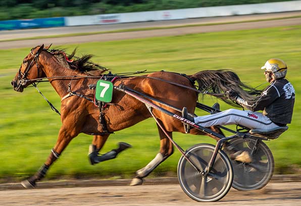 Richtig flott: Rob The Bank (Rick Ebbinge) empfiehlt sich in 1:14,7 / 2.000 Meter für die Derby-Vorläufe - © Jan Melichar/GelsenTrabPark