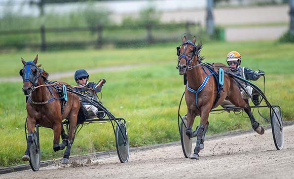 Mr Bathuan Byd (1/Robbin Bot) nimmt sich Napster (4/Jochen Holzschuh) zur Brust - © GelsenTrabPark/Jan Melichar