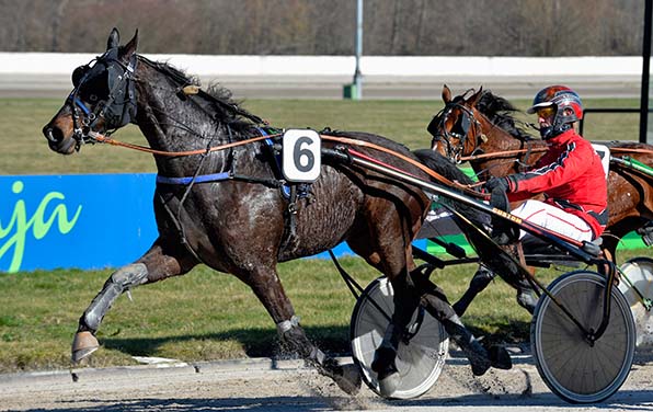 James Moko (hier mit Andre Bakker) ist einer von mehreren Sieganwärtern im ersten V7-Rennen - © Wilms