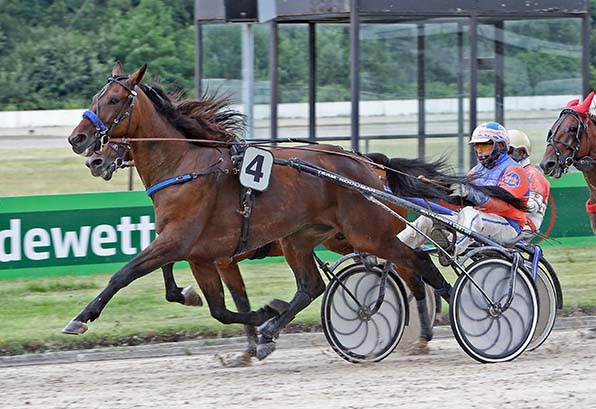 Massai und Tom Kooyman streben den ersten Jahressieg an - © traberfoto-sx