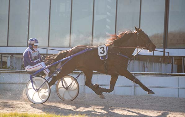 Mr Blitzer Byd (Jan Thijs de Jong) kann mit dem siebten Saisonsieg im Park das Bahnchampionat perfekt machen &ndash; &copy; Jan Melichar/GelsenTrabPark
