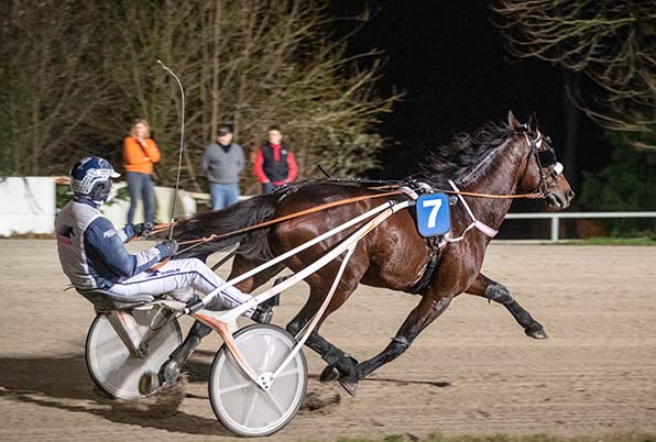 Mister Ed Heldia (Robbin Bot) startete fulminant ins neue Jahr - © Jan Melichar/GelsenTrabPark