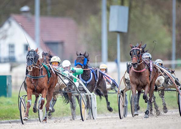 Nyx Hillperon (Reinier Feelders) hält die Konkurrenz einmal mehr sicher auf Distanz - © Jan Melichar/GelsenTrabPark