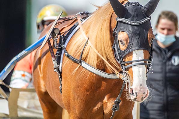 Muss sich beim zweiten Jahresstart steigern: Norton Commander (Michael Nimczyk) – © Jan Melichar/GelsenTrabPark