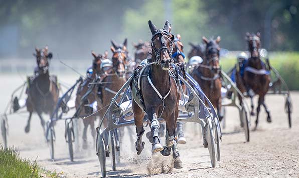 Gelsentrab lockt am Mittwoch mit schnellen Pferden und interessantem Sport – © Jan Melichar/GelsenTrabPark