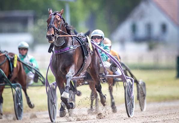 Souverän ohne großen Donnerhall: Days of Thunder (Thorsten Tietz) probt in Gelsenkirchen erfolgreich für das »Adbell Toddington« – © Jan Melichar/GelsenTrabPark