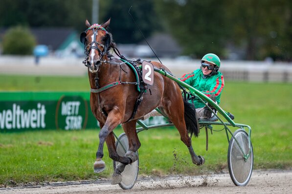 © GelsenTrabPark, Cash Du Rib hatte im Grand Prix de Gelsenkirchen mit seinen Gegnern keine Mühe.
