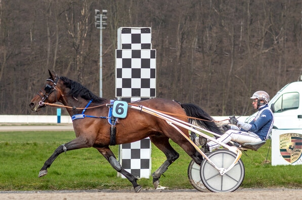 © GelsenTrabPark, Mister Ed Heldia hatte nach dem Aus von Yahoo Diamant keinerlei Mühe mit seinen Gegner.