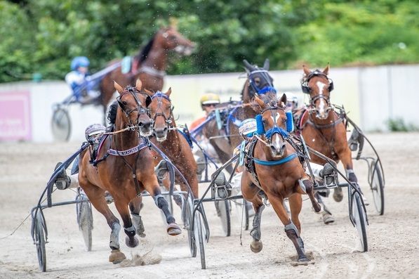 Foto © GelsenTrabPark, der Start zum ersten Rennen des PMU-Renntags auf der Trabrennbahn Gelsenkirchen fällt bereits um 10:58 Uhr.