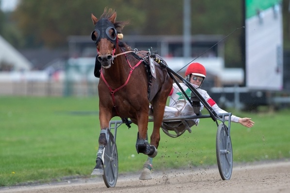 © GelsenTrabPark, Julien Travers hatte bei seinem Sieg mit Hidalgo des Noes im Grand Prix de Gelsenkirchen allen Grund zur Freude. 