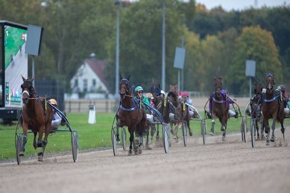 © GelsenTrabPark, gleich vier Läufe zur Qualifikation der Europameisterschaft für Amateure stehen auf dem Programm – die Aufgaben erweisen sich als alles andere als leicht zu meistern.
