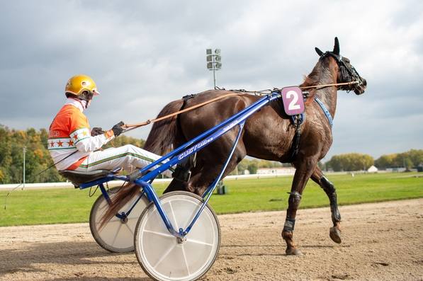 © GelsenTrabPark – Sieben Rennen, davon gleich fünf als PMU-Prüfungen, bietet der Gelsenkirchener Rennverein ab 11:05 Uhr an.