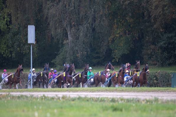 © GelsenTrabPark – Elf stark besetzte Rennen im Park – im Mittelpunkt stehen erneut die Amateure, von denen einige den Titel des Amateurchampions 2025 anstreben.