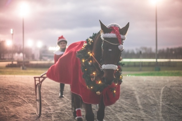 &copy; GelsenTrabPark &ndash; &bdquo;Der GelsenTrabPark w&uuml;nscht allen Traberfans frohe Weihnachten und vor allem beste Gesundheit.&ldquo;