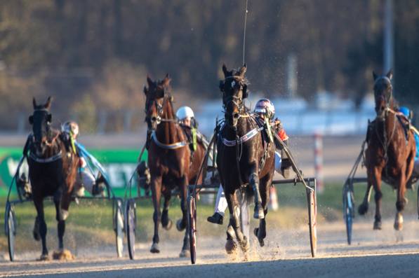 Foto © GelsenTrabPark –Der GelsenTrabPark wünscht allen Besuchern, Aktiven und Freunden des Trabrennsports ein gesundes, erfolgreiches und sportlich spannendes Jahr 2026. Foto © GelsenTrabPark –Der GelsenTrabPark wünscht allen Besuchern, Aktiven und Freunden des Trabrennsports ein gesundes, erfolgreiches und sportlich spannendes Jahr 2026.
