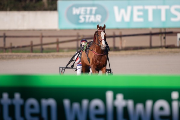 Foto © GelsenTrabPark – Einen Tag nach dem PMU-Renntag im Park stehen insgesamt neun weitere Rennen auf dem Programm. Foto © GelsenTrabPark – Einen Tag nach dem PMU-Renntag im Park stehen insgesamt neun weitere Rennen auf dem Programm.