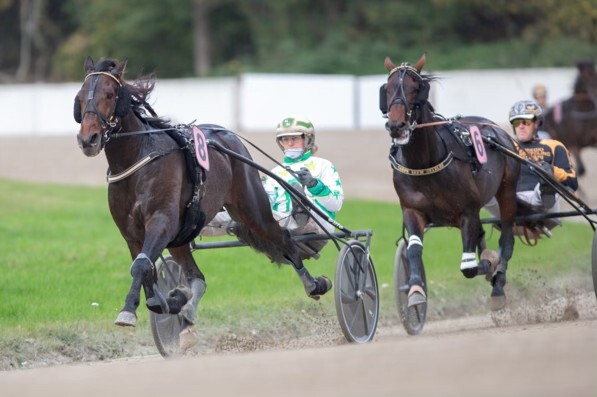 Foto © GelsenTrabPark – Start zum ersten Rennen am Weltfrauentag: 13:45 Uhr im GelsenTrabPark. Foto © GelsenTrabPark – Start zum ersten Rennen am Weltfrauentag: 13:45 Uhr im GelsenTrabPark.