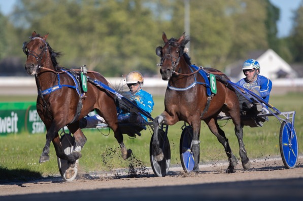 Foto © GelsenTrabPark – 15.000 € Poolgarantie (inkl. 5.232,50 € Jackpot) locken in der V6-Wette. „Grün aus, Start frei“ zur ersten Tagesprüfung um 13:22 Uhr. Foto © GelsenTrabPark – 15.000 € Poolgarantie (inkl. 5.232,50 € Jackpot) locken in der V6-Wette. „Grün aus, Start frei“ zur ersten Tagesprüfung um 13:22 Uhr.