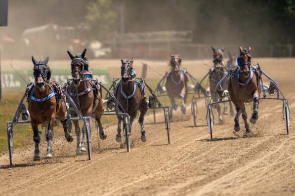 Foto &copy; GelsenTrabPark &ndash; VOLLE FELDER, STARKE WETTEN &ndash; V6 MIT 5.000 EURO UND VIERERWETTE MIT 2.500 EURO Poolgarantie.