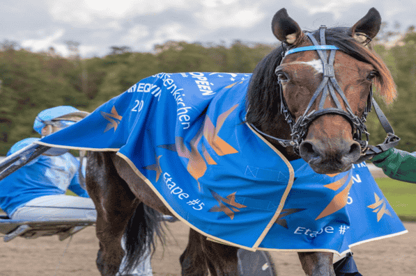 Foto © GelsenTrabPark – Große Leistung, gelassener Blick – Sieger des Grand Prix de Gelsenkirchen 2026 HAMONET DE CHOISEL lässt sich nicht aus der Ruhe bringen. Foto © GelsenTrabPark – Große Leistung, gelassener Blick – Sieger des Grand Prix de Gelsenkirchen 2026 HAMONET DE CHOISEL lässt sich nicht aus der Ruhe bringen.